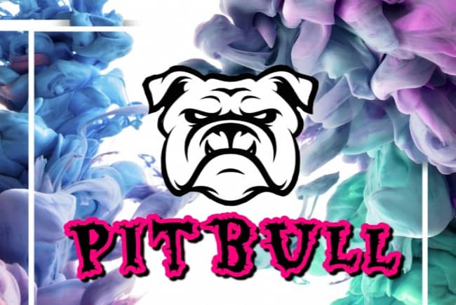 Pitbull -難波-