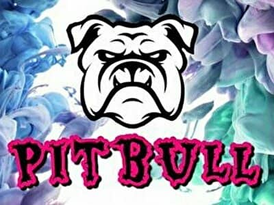 Pitbull -難波-